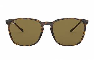 Ray-Ban Rb4387 Tortoise, Brown Lenses - RB4387