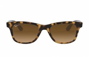 Ray-Ban Rb4640 Shiny Havana, Polarized Brown Lenses - RB4640