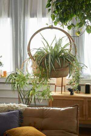 Margot Rattan Hanging Planter