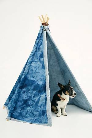 Beast + Babe Tent "Casual Friday Hideout"