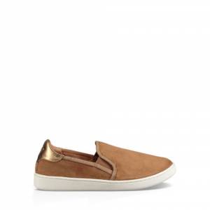 UGG Women's Cas Slip-On Suede