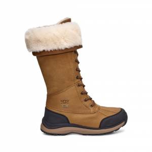 UGG Women's Adirondack III Tall Boot Leather