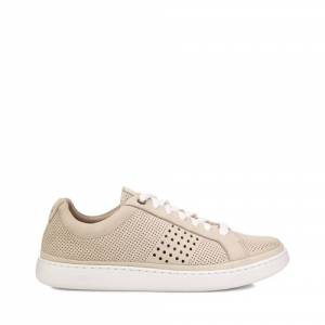 UGG Men's Cali Sneaker Low Perf Leather