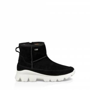 UGG Women's Palomar Sneaker Suede
