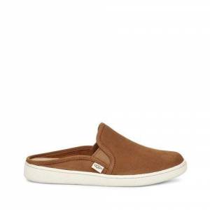 UGG Women's Gene Sneaker Suede