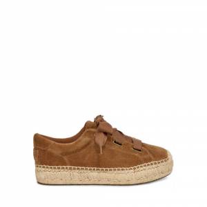 UGG Women's Brianna Sneaker Suede
