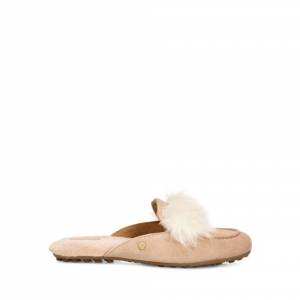UGG Women's Shaine Wisp Loafer Suede