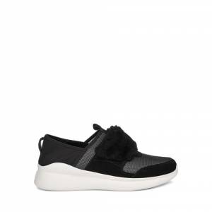 UGG Women's Pico Sneaker Neoprene