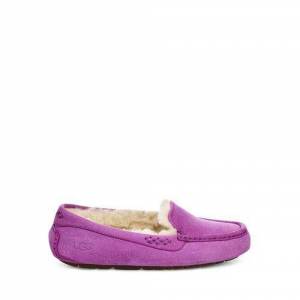 UGG Women's Ansley Milky Way Suede