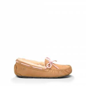 UGG Women's Dakota Slipper Sheepskin