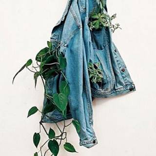FP Denim & Jean Jackets