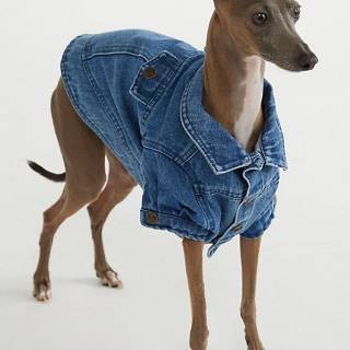 Found My Animal Denim Pet Jacket
