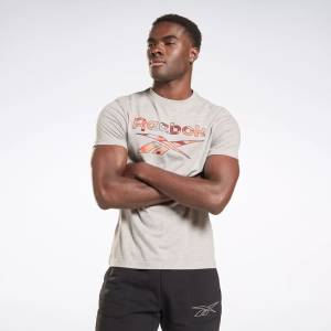 Reebok Identity Men's Big Logo T-Shirt in Grey (100054414)