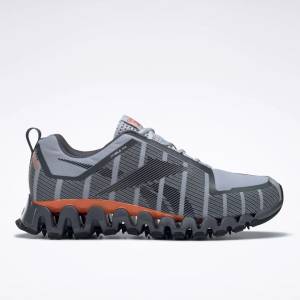 Reebok ZigWild Trail 6 Men's Shoes in Grey (100062882)