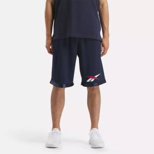 Reebok Men's Basketball Mesh Shorts in Blue (100070823)
