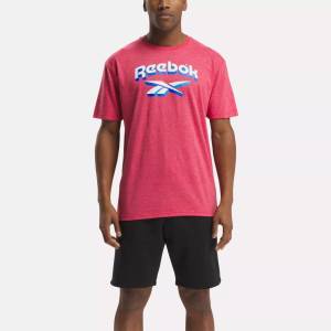 Reebok Men's Americana Lockup Bright Tee in Red (100210234)
